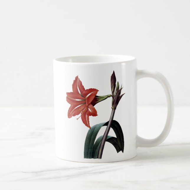 Amaryllis Striped Coffee Mug (Right)