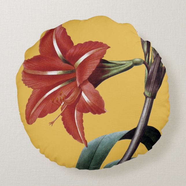 Amaryllis Striped Round Cushion (Back)