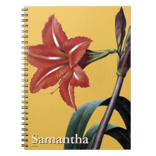 Amaryllis Striped Spiral Notebook
