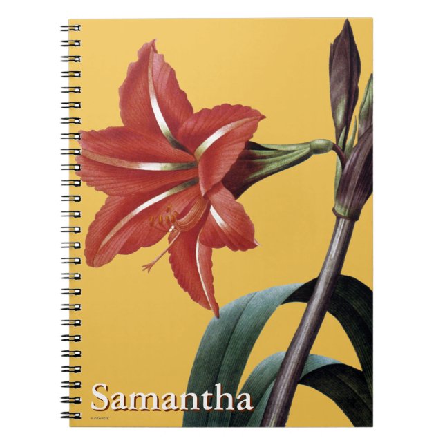 Amaryllis Striped Spiral Notebook (Front)