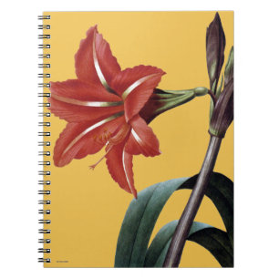 Amaryllis Striped Spiral Notebook
