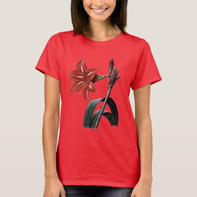 Amaryllis Striped T-Shirt (Front)