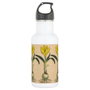 Amaryllis Tulip Botanical Garden Flower 532 Ml Water Bottle