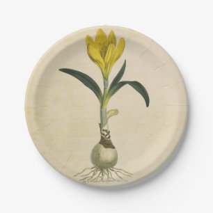 Amaryllis Tulip Botanical Garden Flower Paper Plate