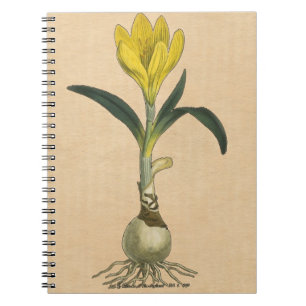 Amaryllis Tulip Botanical Garden Flower Spiral Notebook