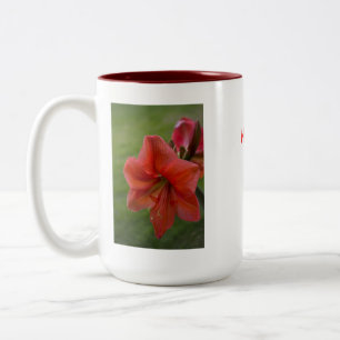 Amaryllis Two-Tone Coffee Mug