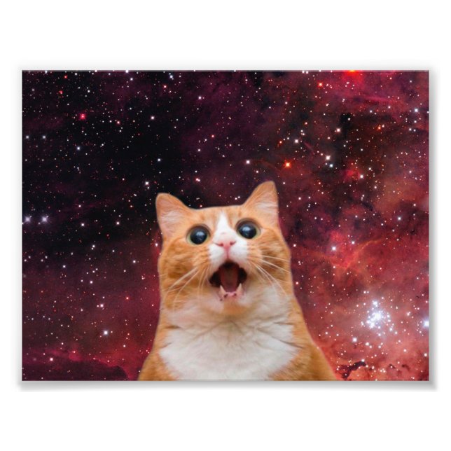 Amazed Space Cat Photo Print (Front)