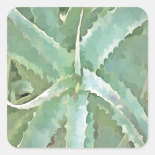 Amazing Aloe Vera Acrylic Art Square Sticker