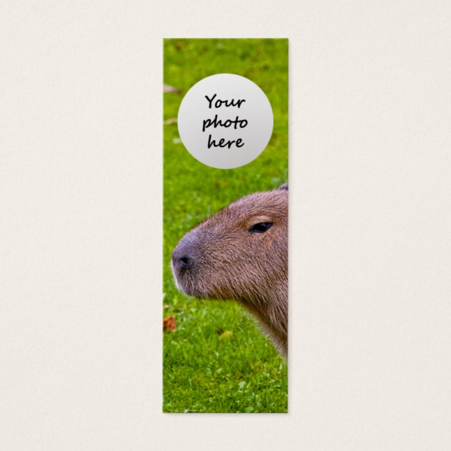 Amazing Animal Capybara (Front)