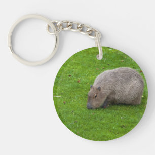 Amazing Animal Capybara Key Ring