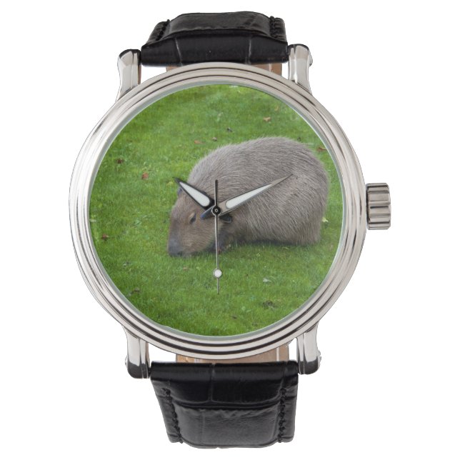 Amazing Animal Capybara Watch (Front)