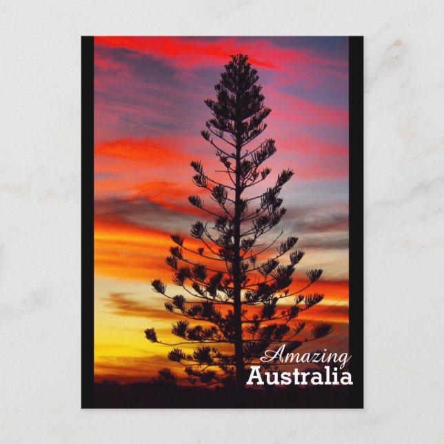 Amazing Australia postcard (Front)