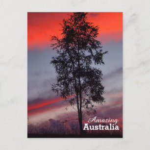Amazing Australia postcard