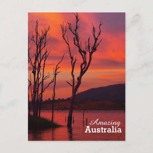 Amazing Australia postcard (Front)