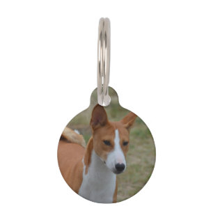 Amazing Basenji Dog Pet Tag