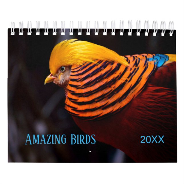 Amazing BIRDS Photography Calendar (Cover)