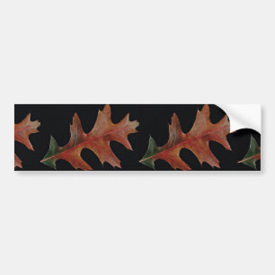 Amazing Black oak leaf Bumper Sticker