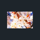Amazing Bunch Of Sakura Flowers In Springtime Canvas Print<br><div class="desc">An amazing cluster of pale pink sakura cherry blossoms against the background of blue sky and mist of pink petals. The fairytale beauty of spring. An extra-large digital painting from a photograph. Awesome floral stretched canvas print to decorate your place or to be used as a gift on weddings, birthdays,...</div>