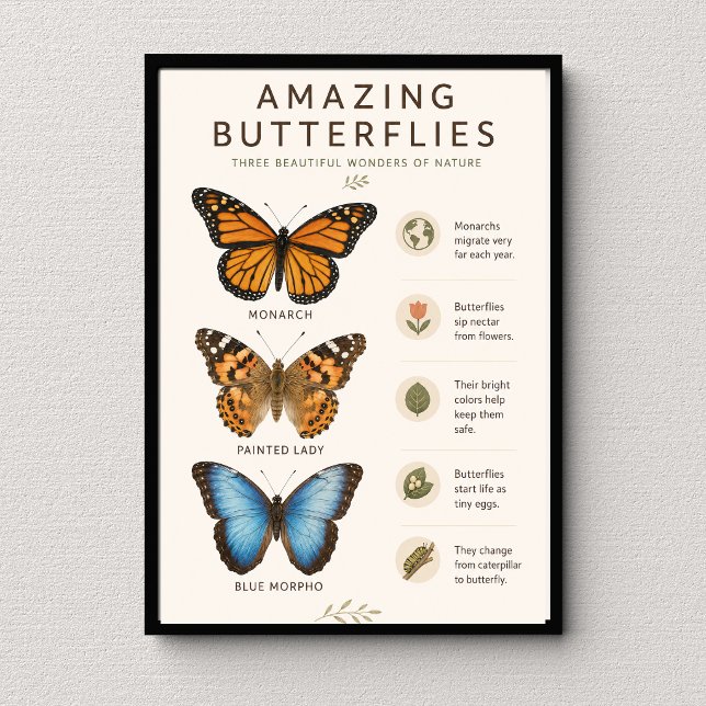 Amazing Butterflies Educational Poster (Creator Uploaded)