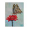 Amazing Butterfly Art!