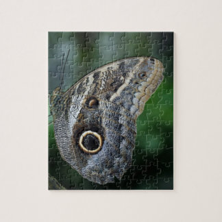 Amazing Caligo Eurilochus Butterfly Jigsaw Puzzle