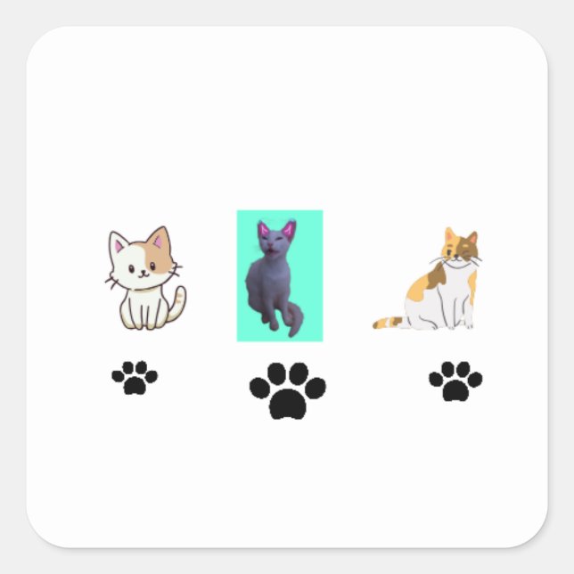 Amazing cats square sticker (Front)