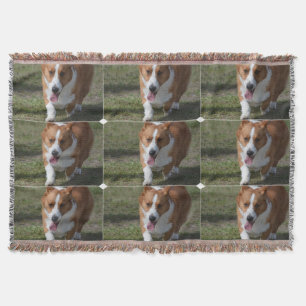 Amazing Corgi Throw Blanket