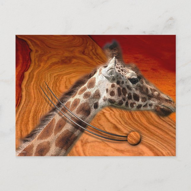 AMAZING CREATURES POSTCARD (Front)