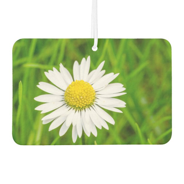 Amazing Daisy Air Freshener (Front)