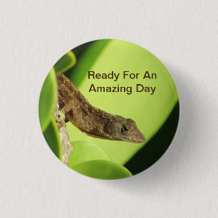 Amazing Day Tropical Brown Gecko Positivity 3 Cm Round Badge