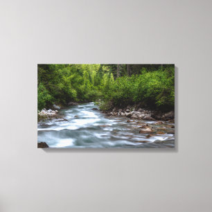 Amazing Forest River Canvas