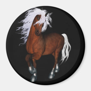 Amazing horse magnet