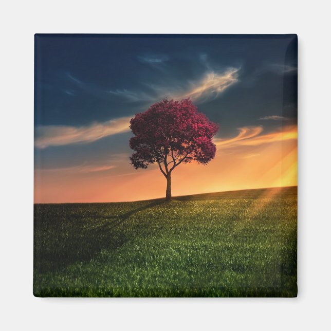 Amazing Landscape with a Red Tree at Sunset Magnet (Front)