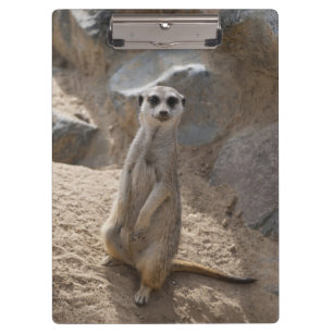 Amazing Meerkat Clipboard