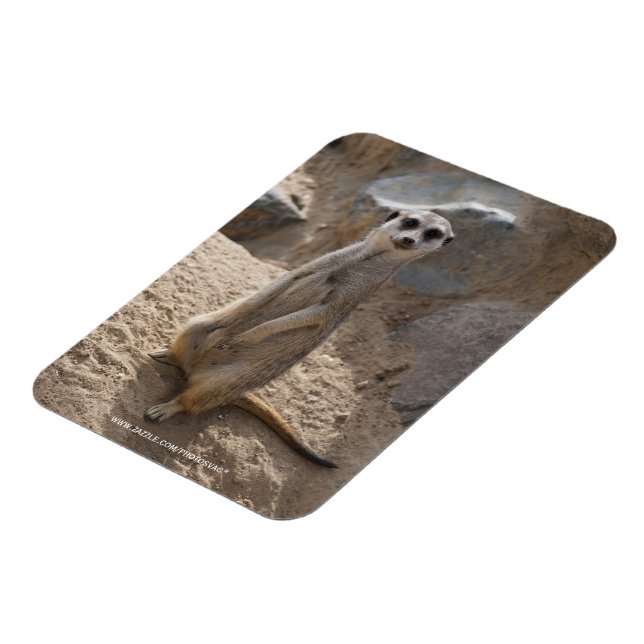 Amazing Meerkat Magnet (Left Side)