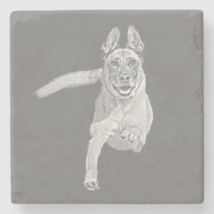 Amazing Pencil Belgian Malinois Marble Coaster