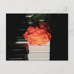 Amazing Piano Artwork Postcard