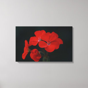 Amazing Red Flowers Stretched Canvas Print