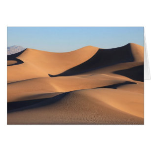 Amazing Shadows of Desert