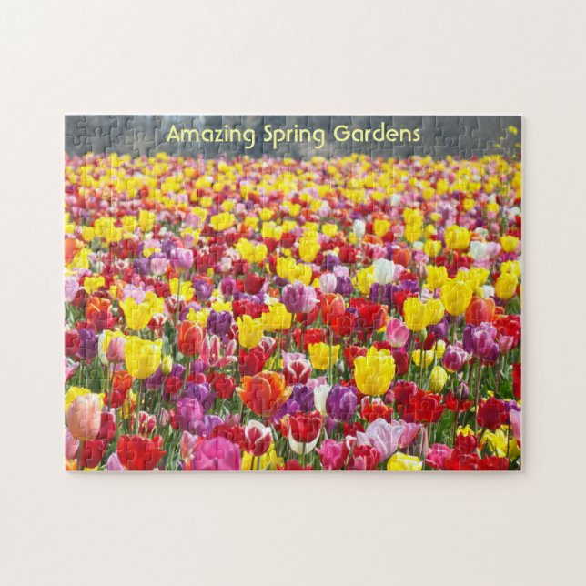 Amazing Spring Gardens puzzles Spring Tulip Flower (Horizontal)