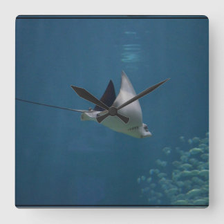 Amazing Stingray Square Wall Clock