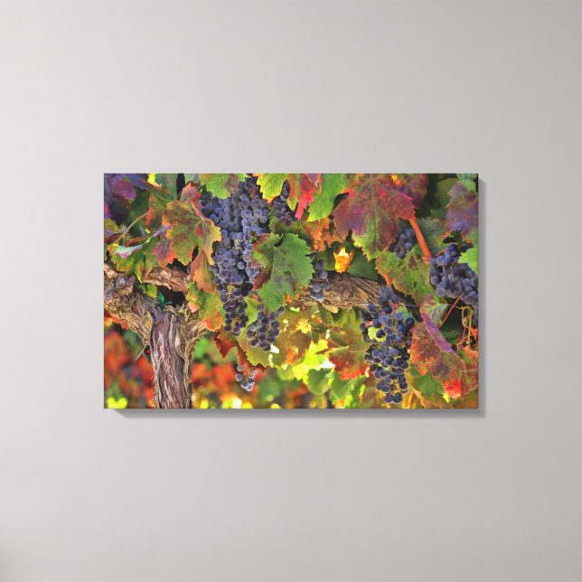 Amazing Wine Country Winery Vineyard Wall Art (Front)