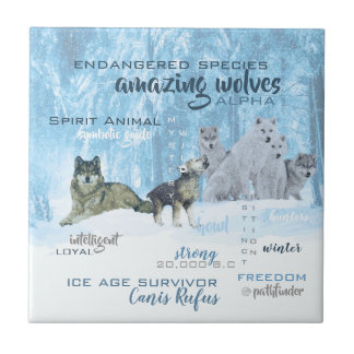 Amazing Wolves Typography | Personalised Tile