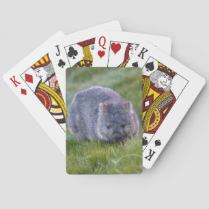 Amazing Wombat in the Grass Australia, Green Playing Cards