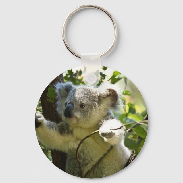 Amazingly cute baby koala in a tree key ring (Front)