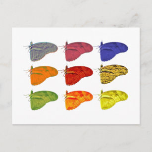 Amazon Coloured Butterfly Postcard