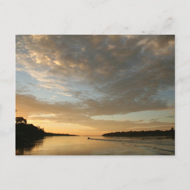 Amazon Humane Society Postcard: Beautiful Amazon S Postcard (Front)