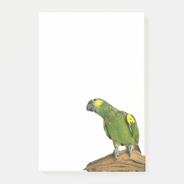 Amazon Post-it® Notes 4 x 6 (Front)