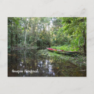 Amazon Rainforest Postcard