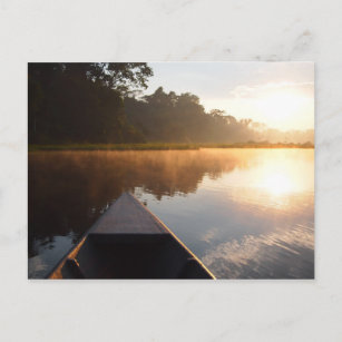 Amazon rainforest sunrise postcard